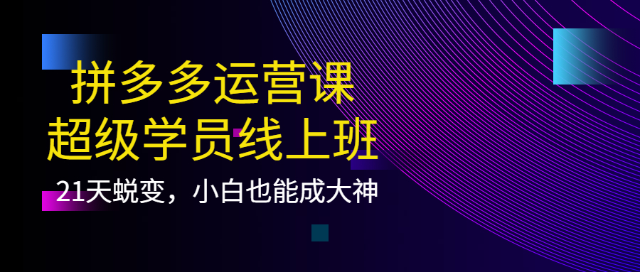 拼多多运营课：超级学员线上班，21天蜕变，小白也能成大神小鳄启创-网创项目资源站-副业项目-创业项目-搞钱项目小鳄启创