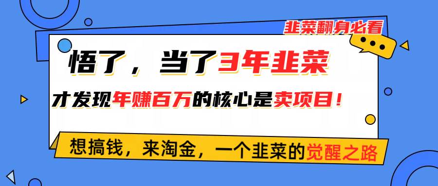 悟了，当了3年韭菜，才发现网赚圈年赚100万的核心是卖项目，含泪分享！小鳄启创-网创项目资源站-副业项目-创业项目-搞钱项目小鳄启创