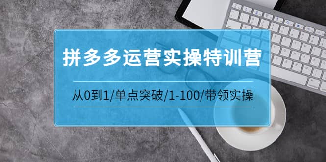 拼多多运营实操特训营：从0到1/单点突破/1-100/带领实操 价值2980元小鳄启创-网创项目资源站-副业项目-创业项目-搞钱项目小鳄启创