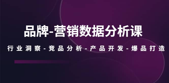 品牌-营销数据分析课，行业洞察-竞品分析-产品开发-爆品打造小鳄启创-网创项目资源站-副业项目-创业项目-搞钱项目小鳄启创