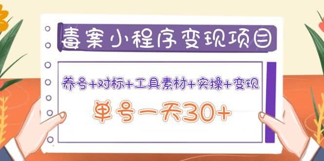毒案小程序变现项目：养号+对标+工具素材+实操+变现小鳄启创-网创项目资源站-副业项目-创业项目-搞钱项目小鳄启创