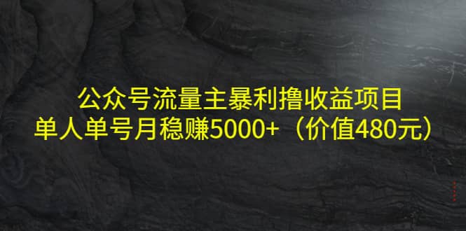 公众号流量主暴利撸收益项目，单人单号月稳赚5000+（价值480元）小鳄启创-网创项目资源站-副业项目-创业项目-搞钱项目小鳄启创