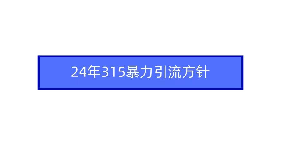 2024年315暴力引流方针小鳄启创-网创项目资源站-副业项目-创业项目-搞钱项目小鳄启创