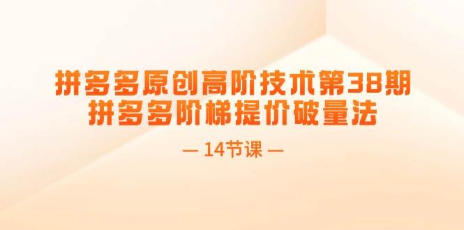 拼多多原创高阶技术第38期，拼多多阶梯提价破量法（14节课）小鳄启创-网创项目资源站-副业项目-创业项目-搞钱项目小鳄启创