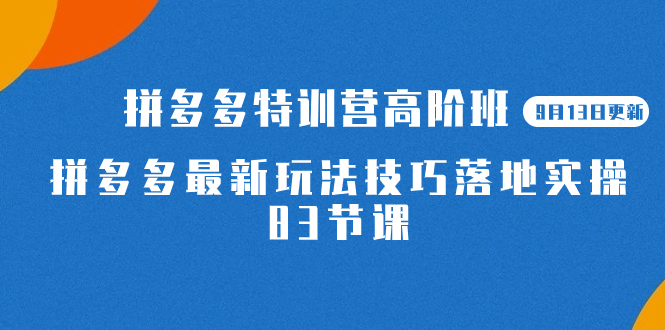 2023拼多多·特训营高阶班【9月13日更新】拼多多最新玩法技巧落地实操-83节小鳄启创-网创项目资源站-副业项目-创业项目-搞钱项目小鳄启创