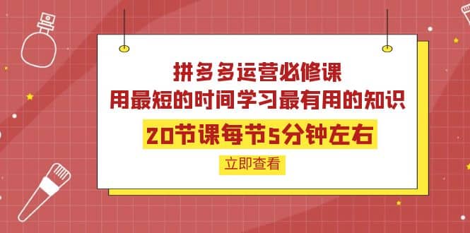 拼多多运营必修课：20节课每节5分钟左右，用最短的时间学习最有用的知识小鳄启创-网创项目资源站-副业项目-创业项目-搞钱项目小鳄启创