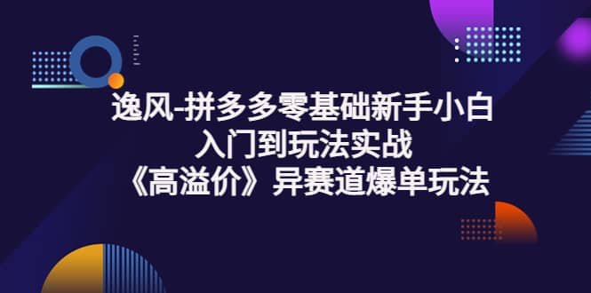 拼多多零基础新手小白入门到玩法实战《高溢价》异赛道爆单玩法实操课小鳄启创-网创项目资源站-副业项目-创业项目-搞钱项目小鳄启创