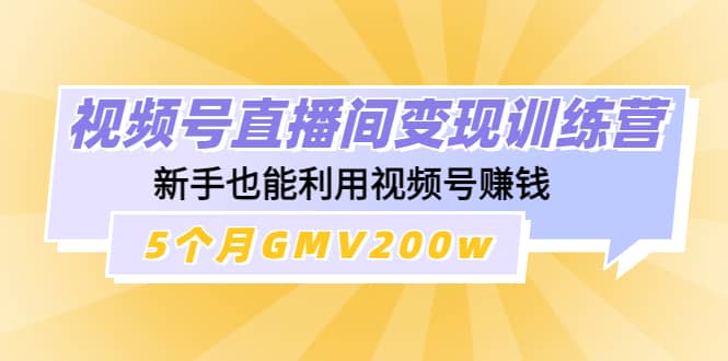 视频号直播间变现训练营小鳄启创-网创项目资源站-副业项目-创业项目-搞钱项目小鳄启创