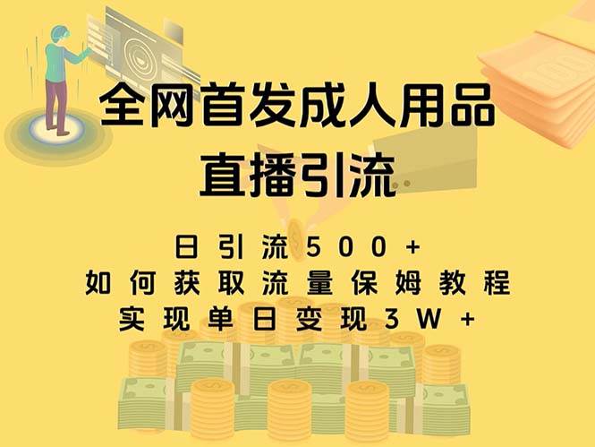 最新全网独创首发，成人用品直播引流获客暴力玩法，单日变现3w保姆级教程小鳄启创-网创项目资源站-副业项目-创业项目-搞钱项目小鳄启创