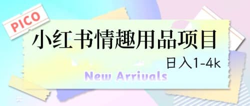 最新小红书情趣用品项目，日入1-4k小鳄启创-网创项目资源站-副业项目-创业项目-搞钱项目小鳄启创