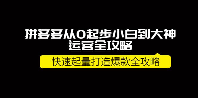 拼多多从0起步小白到大神运营全攻略小鳄启创-网创项目资源站-副业项目-创业项目-搞钱项目小鳄启创