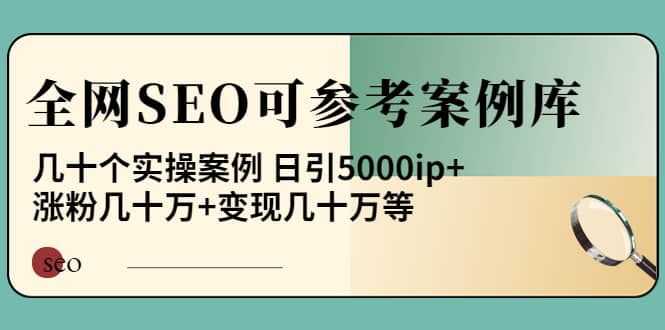 《全网SEO可参考案例库》几十个实操案例小鳄启创-网创项目资源站-副业项目-创业项目-搞钱项目小鳄启创