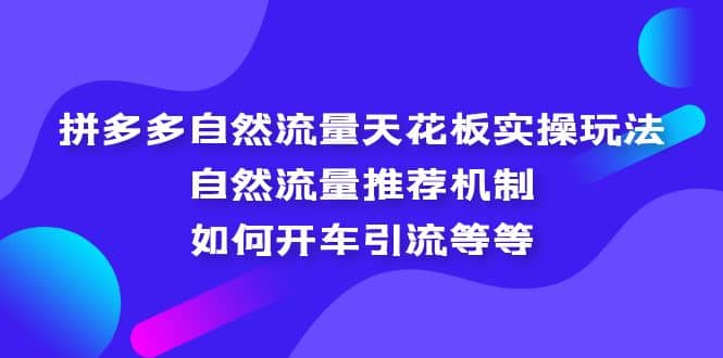 拼多多自然流量天花板实操玩法：自然流量推荐机制，如何开车引流等等小鳄启创-网创项目资源站-副业项目-创业项目-搞钱项目小鳄启创