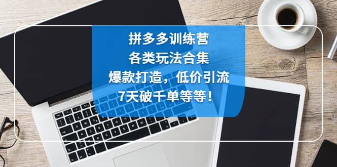 拼多多训练营：各玩法合集，爆款打造，低价引流，7天破千单等等小鳄启创-网创项目资源站-副业项目-创业项目-搞钱项目小鳄启创