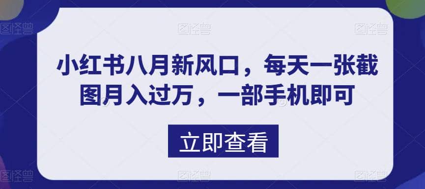 八月新风口，小红书虚拟项目一天收入1000+，实战揭秘小鳄启创-网创项目资源站-副业项目-创业项目-搞钱项目小鳄启创