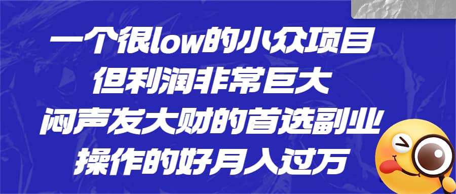 一个很low的小众项目，但利润非常巨大，闷声发大财的首选副业，月入过万小鳄启创-网创项目资源站-副业项目-创业项目-搞钱项目小鳄启创