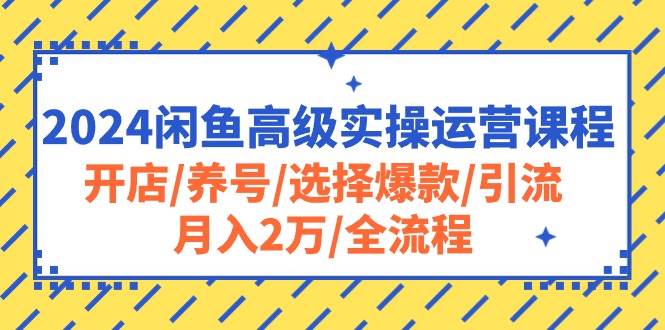2024闲鱼高级实操运营课程：开店/养号/选择爆款/引流/月入2万/全流程小鳄启创-网创项目资源站-副业项目-创业项目-搞钱项目小鳄启创