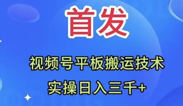 全网首发：视频号平板搬运技术，实操日入三千＋小鳄启创-网创项目资源站-副业项目-创业项目-搞钱项目小鳄启创