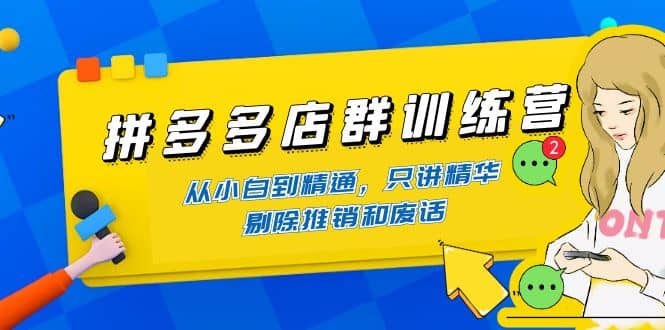 拼多多店群训练营：从小白到精通，只讲精华，剔除推销和废话小鳄启创-网创项目资源站-副业项目-创业项目-搞钱项目小鳄启创
