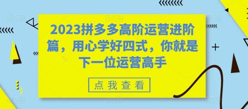2023拼多多高阶运营进阶篇，用心学好四式，你就是下一位运营高手小鳄启创-网创项目资源站-副业项目-创业项目-搞钱项目小鳄启创