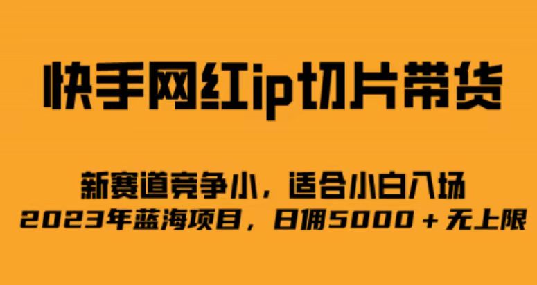 快手网红ip切片新赛道，竞争小事，适合小白 2023蓝海项目小鳄启创-网创项目资源站-副业项目-创业项目-搞钱项目小鳄启创