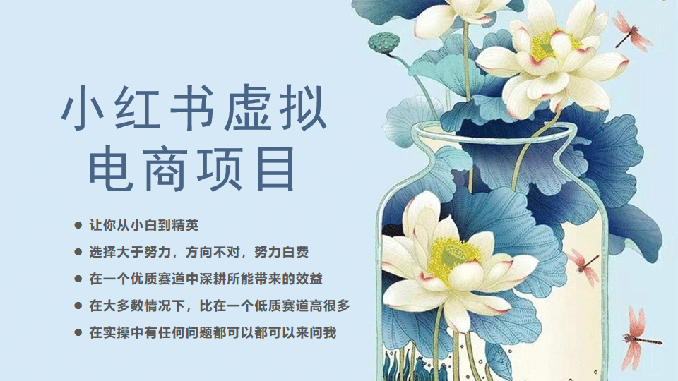 小红书虚拟电商从0到1，让你从小白到精英（20节实操课程）小鳄启创-网创项目资源站-副业项目-创业项目-搞钱项目小鳄启创