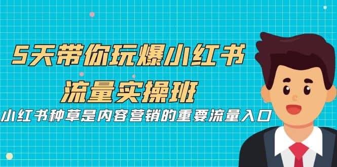 5天带你玩爆小红书流量实操班，小红书种草是内容营销的重要流量入口小鳄启创-网创项目资源站-副业项目-创业项目-搞钱项目小鳄启创