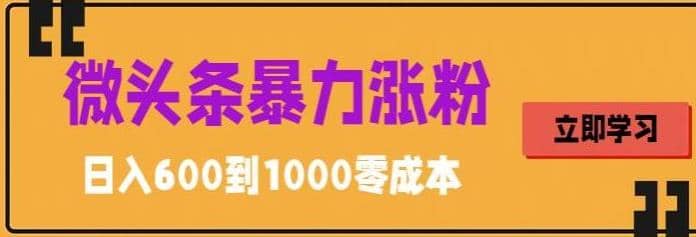 微头条暴力涨粉技巧搬运文案就能涨几万粉丝，简单0成本，日赚600小鳄启创-网创项目资源站-副业项目-创业项目-搞钱项目小鳄启创