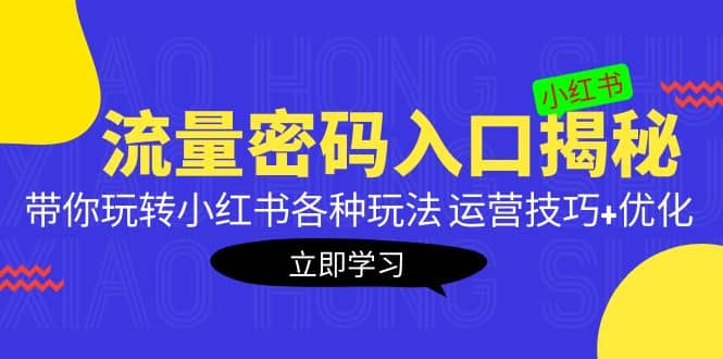 小红书流量密码入口揭秘：带你玩转小红书各种玩法 运营技巧+优化小鳄启创-网创项目资源站-副业项目-创业项目-搞钱项目小鳄启创