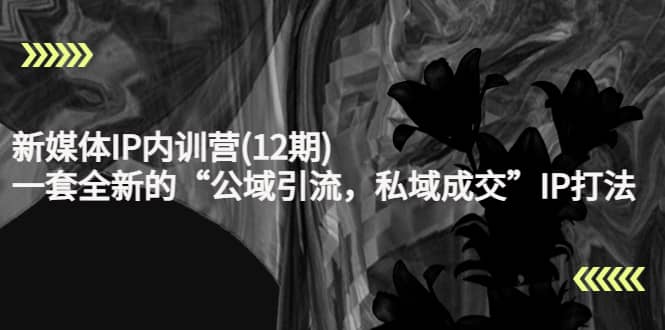 新媒体IP内训营(12期)，一套全新的“公域引流，私域成交”IP打法，直接带走小鳄启创-网创项目资源站-副业项目-创业项目-搞钱项目小鳄启创