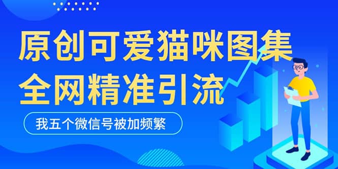 黑科技纯原创可爱猫咪图片，全网精准引流，实操5个VX号被加频繁小鳄启创-网创项目资源站-副业项目-创业项目-搞钱项目小鳄启创