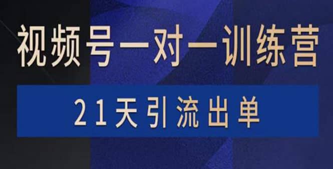 视频号训练营：带货，涨粉，直播，游戏，四大变现新方向，21天引流出单小鳄启创-网创项目资源站-副业项目-创业项目-搞钱项目小鳄启创