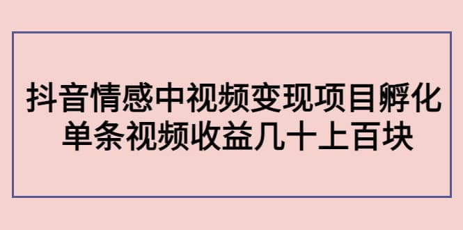 抖音情感中视频变现项目孵化小鳄启创-网创项目资源站-副业项目-创业项目-搞钱项目小鳄启创