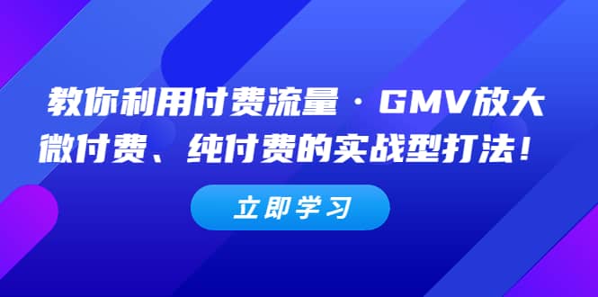 教你利用付费流量·GMV放大，微付费、纯付费的实战型打法小鳄启创-网创项目资源站-副业项目-创业项目-搞钱项目小鳄启创