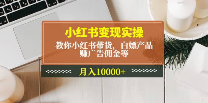 小红书变现实操：教你小红书带货，白嫖产品，赚广告佣金等小鳄启创-网创项目资源站-副业项目-创业项目-搞钱项目小鳄启创