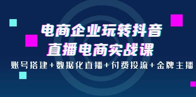电商企业玩转抖音直播电商实战课：账号搭建+数据化直播+付费投流+金牌主播小鳄启创-网创项目资源站-副业项目-创业项目-搞钱项目小鳄启创