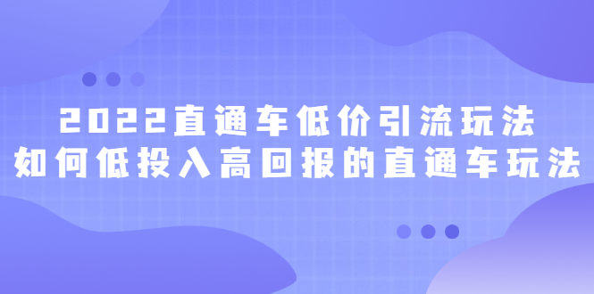2022直通车低价引流玩法，教大家如何低投入高回报的直通车玩法小鳄启创-网创项目资源站-副业项目-创业项目-搞钱项目小鳄启创