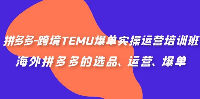 拼多多-跨境TEMU爆单实操运营培训班，海外拼多多的选品、运营、爆单小鳄启创-网创项目资源站-副业项目-创业项目-搞钱项目小鳄启创