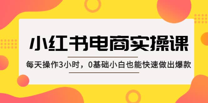 小红书·电商实操课：每天操作3小时，0基础小白也能快速做出爆款小鳄启创-网创项目资源站-副业项目-创业项目-搞钱项目小鳄启创