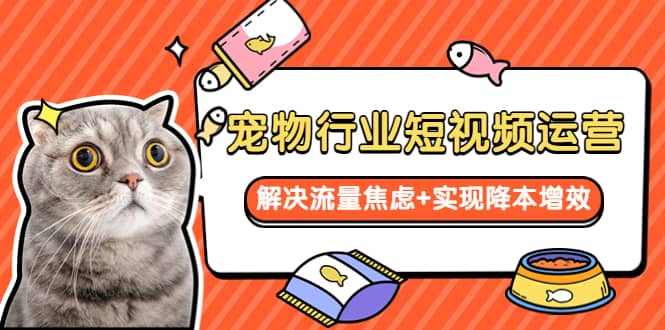 宠物/行业短视频运营 流量增长的一层窗户纸 解决流量焦虑+实现降本增效小鳄启创-网创项目资源站-副业项目-创业项目-搞钱项目小鳄启创