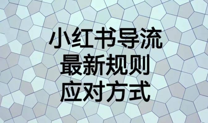 小红书导流最新规则应对方式【揭秘】小鳄启创-网创项目资源站-副业项目-创业项目-搞钱项目小鳄启创