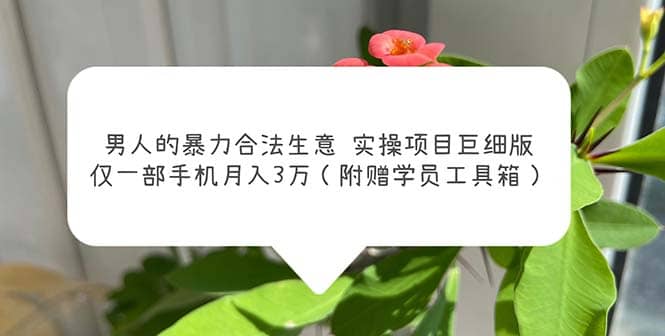 男人的暴力合法生意实操项目巨细版：仅一部手机月入3w（附赠学员工具箱）小鳄启创-网创项目资源站-副业项目-创业项目-搞钱项目小鳄启创