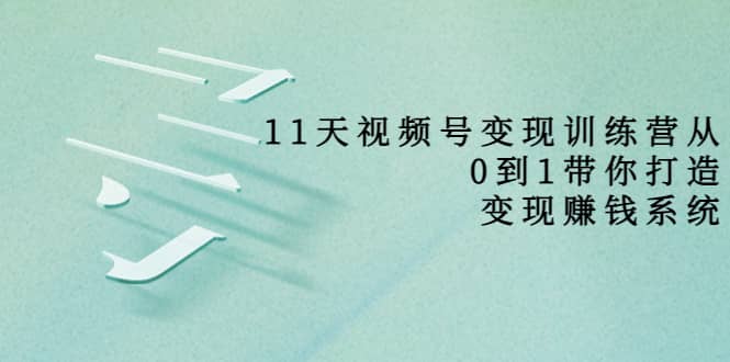 好望角·11天视频号变现训练营，从0到1打造变现赚钱系统（价值398）小鳄启创-网创项目资源站-副业项目-创业项目-搞钱项目小鳄启创