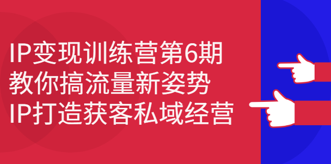 IP变现训练营第6期：教你搞流量新姿势，IP打造获客私域经营小鳄启创-网创项目资源站-副业项目-创业项目-搞钱项目小鳄启创