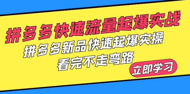 拼多多-快速流量起爆实战，拼多多新品快速起爆实操，看完不走弯路小鳄启创-网创项目资源站-副业项目-创业项目-搞钱项目小鳄启创