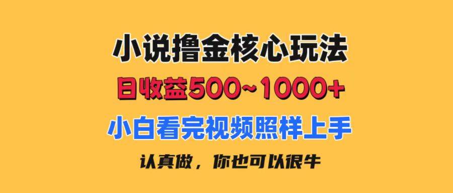 小说撸金核心玩法，日收益500-1000+，小白看完照样上手，0成本有手就行小鳄启创-网创项目资源站-副业项目-创业项目-搞钱项目小鳄启创