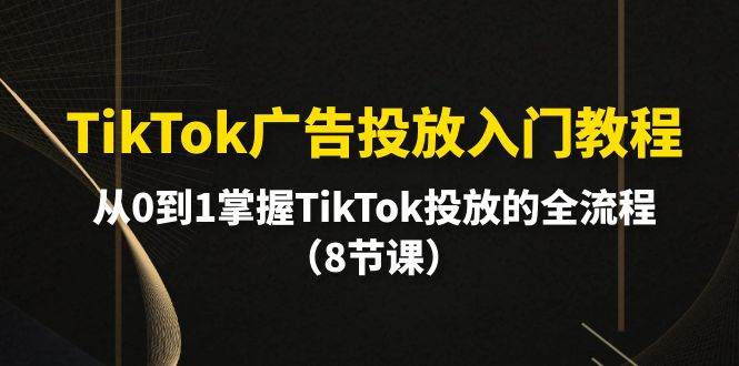 TikTok广告投放入门教程，从0到1掌握TikTok投放的全流程（8节课）小鳄启创-网创项目资源站-副业项目-创业项目-搞钱项目小鳄启创