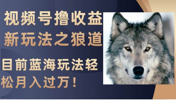 视频号撸收益新玩法之狼道，目前蓝海玩法轻松月入过万！小鳄启创-网创项目资源站-副业项目-创业项目-搞钱项目小鳄启创