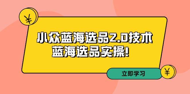 拼多多培训第33期：小众蓝海选品2.0技术-蓝海选品实操！小鳄启创-网创项目资源站-副业项目-创业项目-搞钱项目小鳄启创