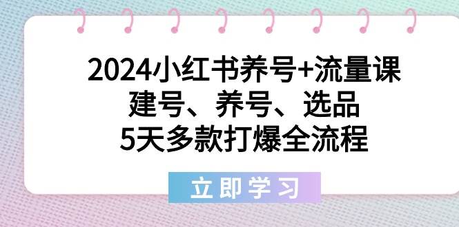 2024小红书养号+流量课：建号、养号、选品，5天多款打爆全流程小鳄启创-网创项目资源站-副业项目-创业项目-搞钱项目小鳄启创